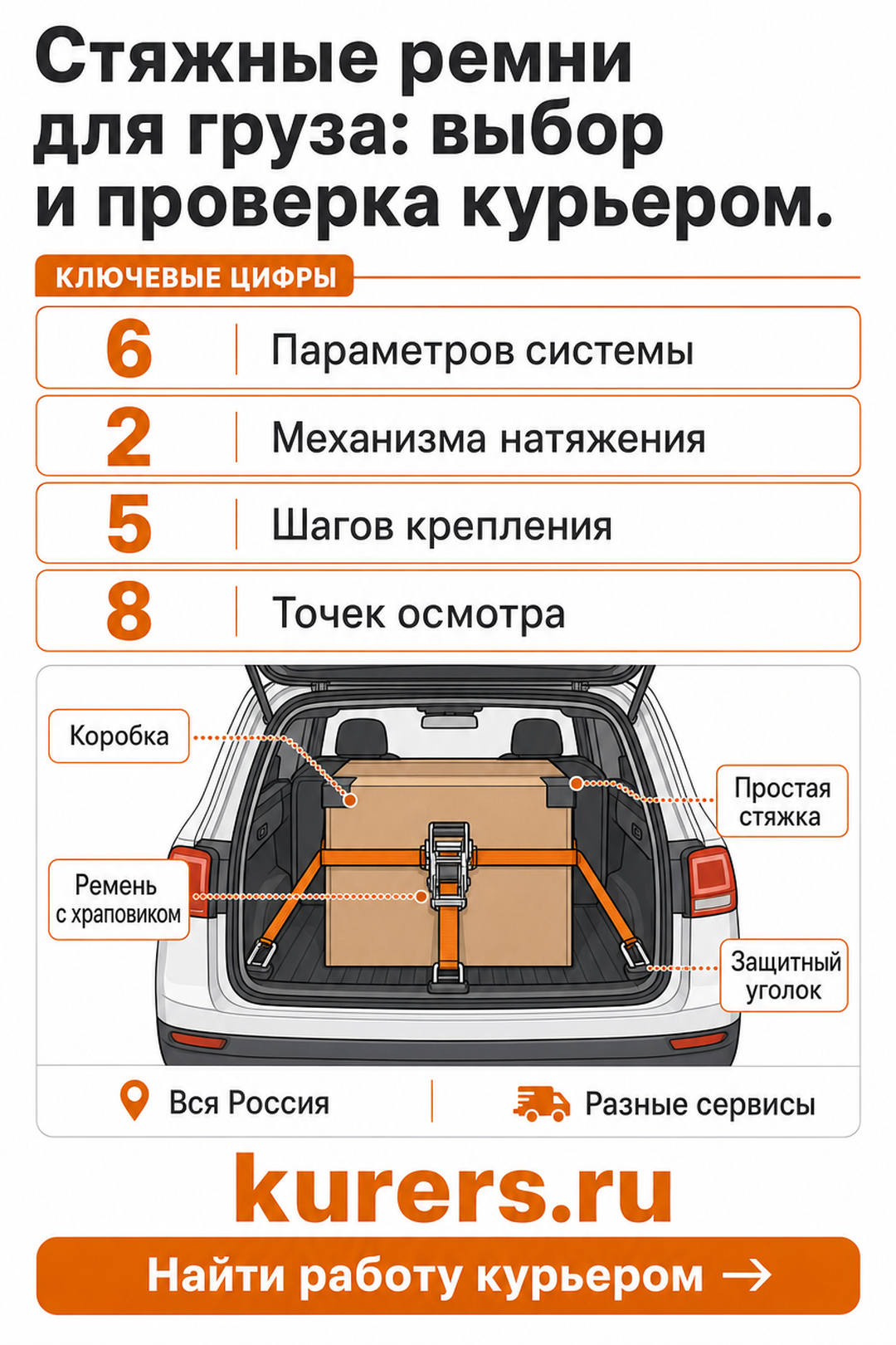 Шесть параметров выбора, два механизма натяжения и восемь точек осмотра ремня. стяжные ремни для груза курьера